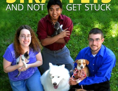 Stray Pets