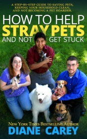 How to Help Stray Pets & Not Get Stuck